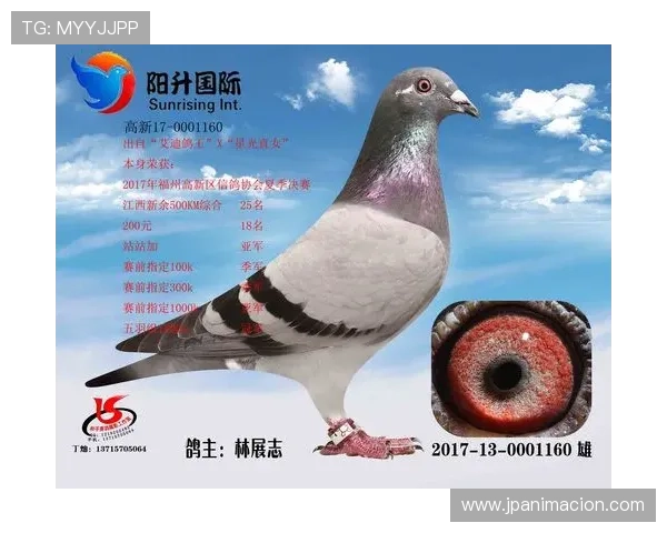 AG国际地址登录入口官方入口网站详解，确保每次登录安全可靠无忧